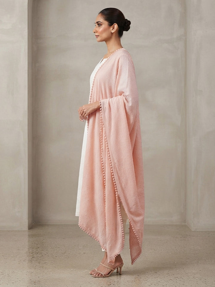 Women Embroidered Georgette Dupatta -PC3721