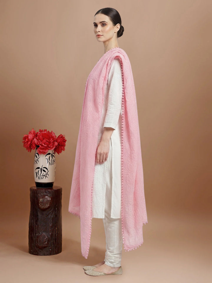 Women Embroidered Georgette Dupatta -PC3721