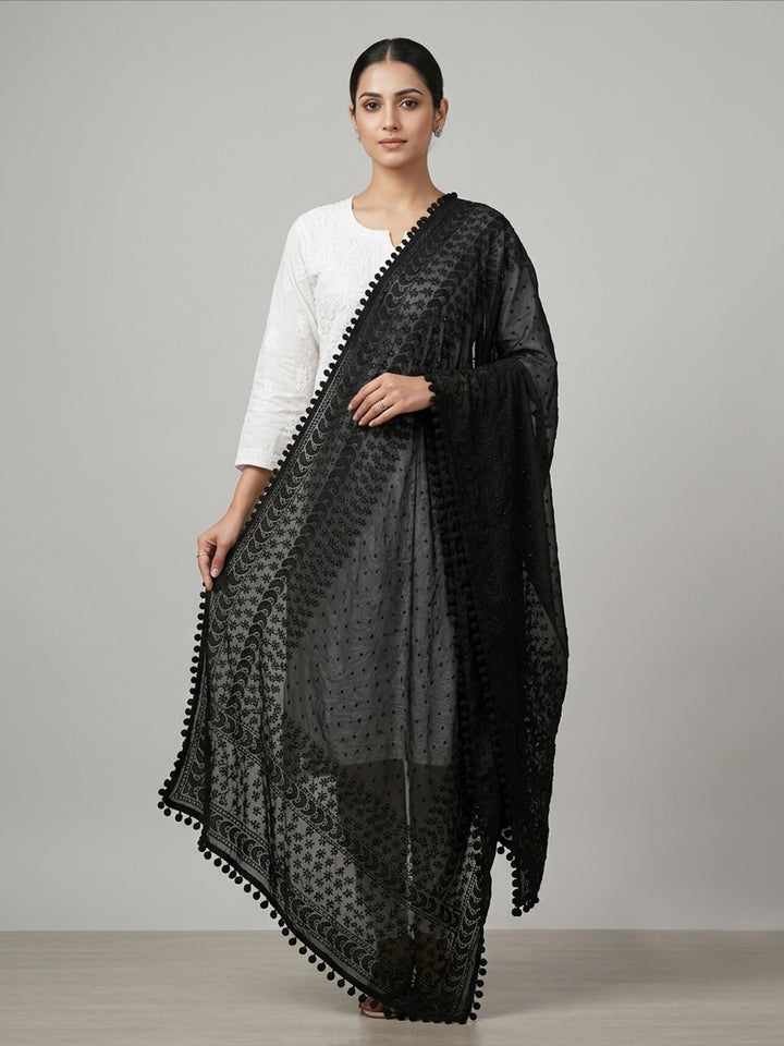 Women Embroidered Georgette Dupatta -PC3721