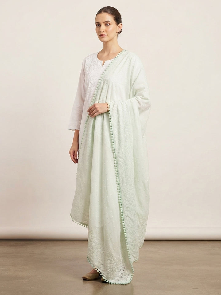 Women Embroidered Georgette Dupatta -PC3721