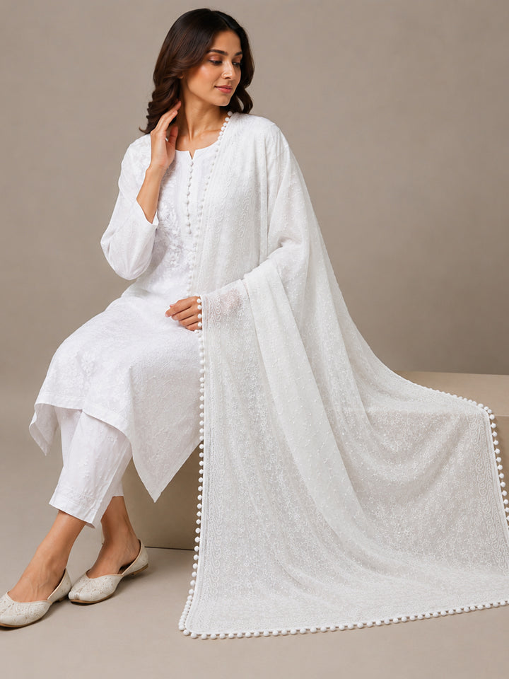 Women Embroidered Georgette Dupatta -PC3721