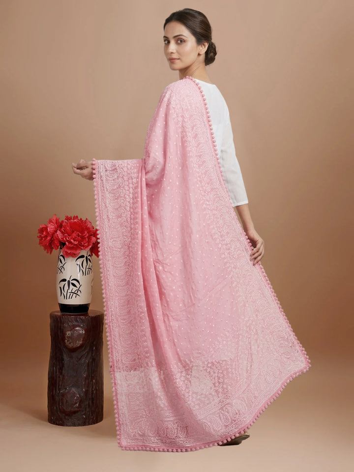 Women Embroidered Georgette Dupatta -PC3721