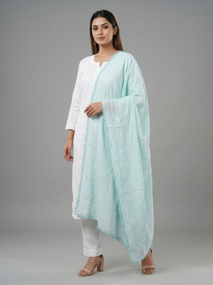 Women Embroidered Georgette Dupatta -PC3721