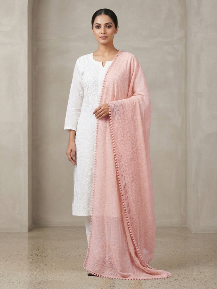 Women Embroidered Georgette Dupatta -PC3721