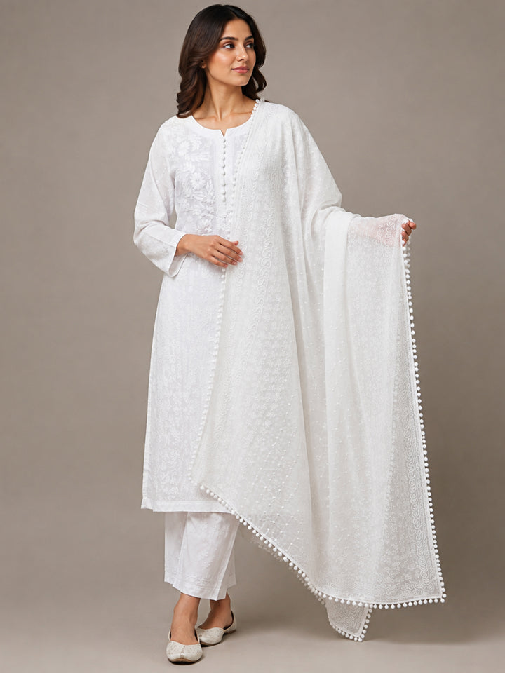 Women Embroidered Georgette Dupatta -PC3721