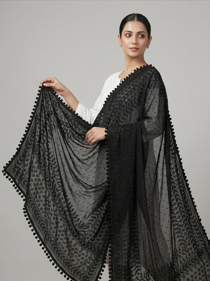 Women Embroidered Georgette Dupatta -PC3721