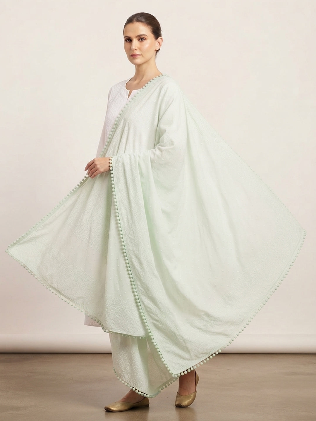 Women Embroidered Georgette Dupatta -PC3721