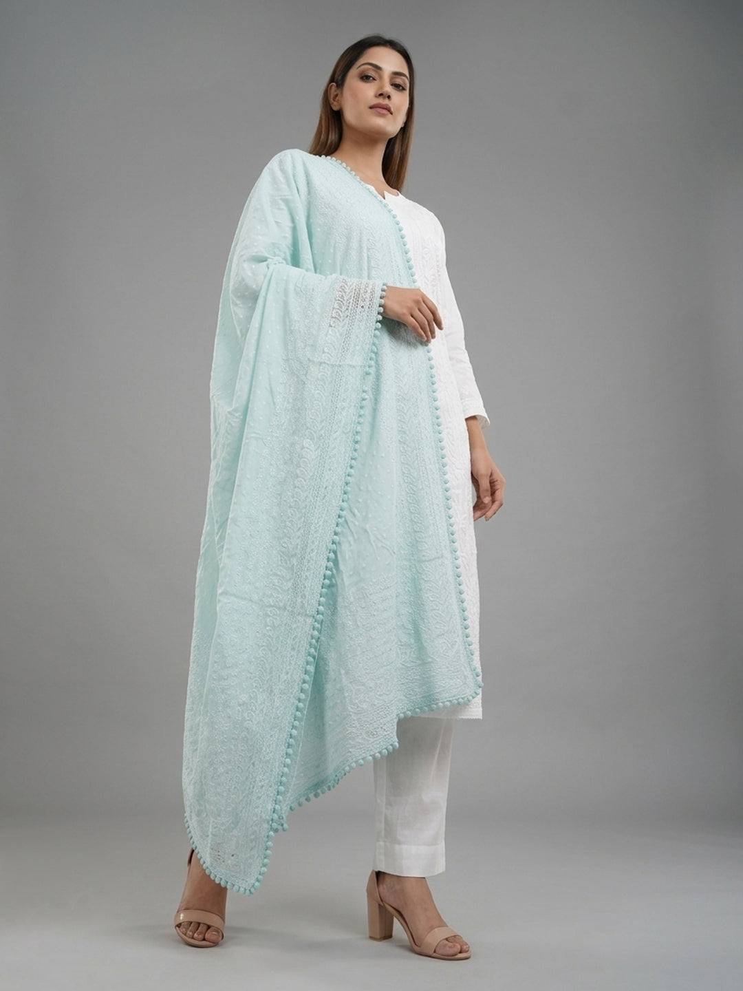 Women Embroidered Georgette Dupatta -PC3721