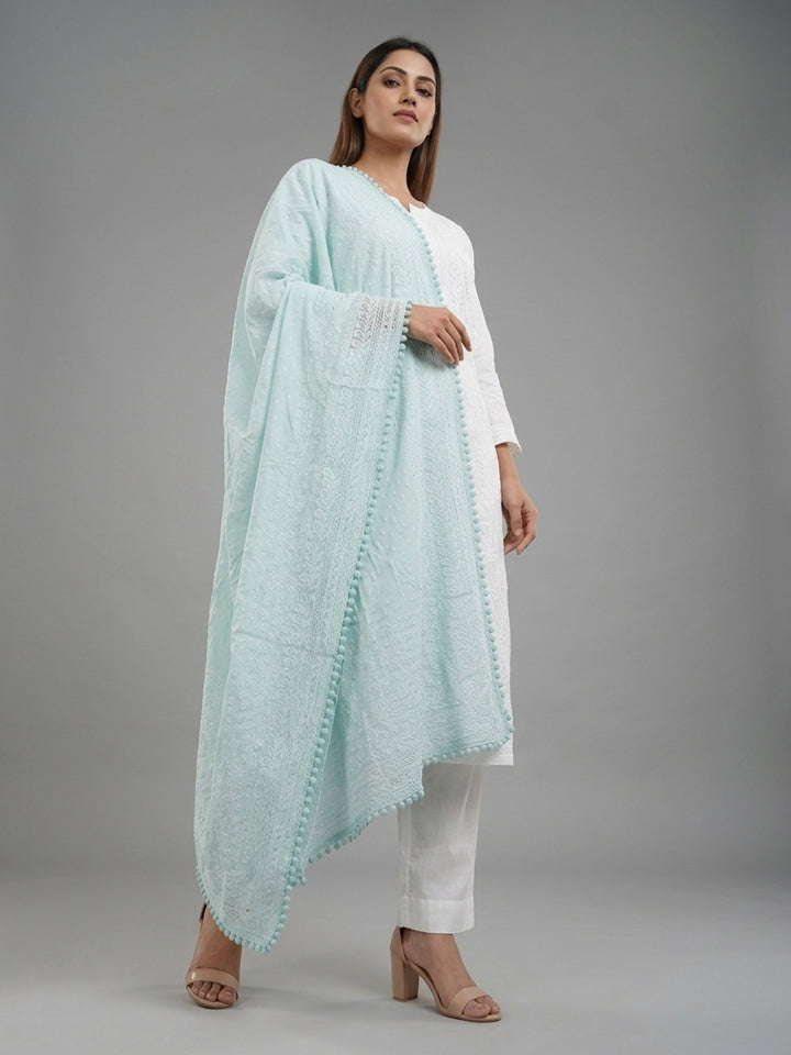 Women Embroidered Georgette Dupatta -PC3721