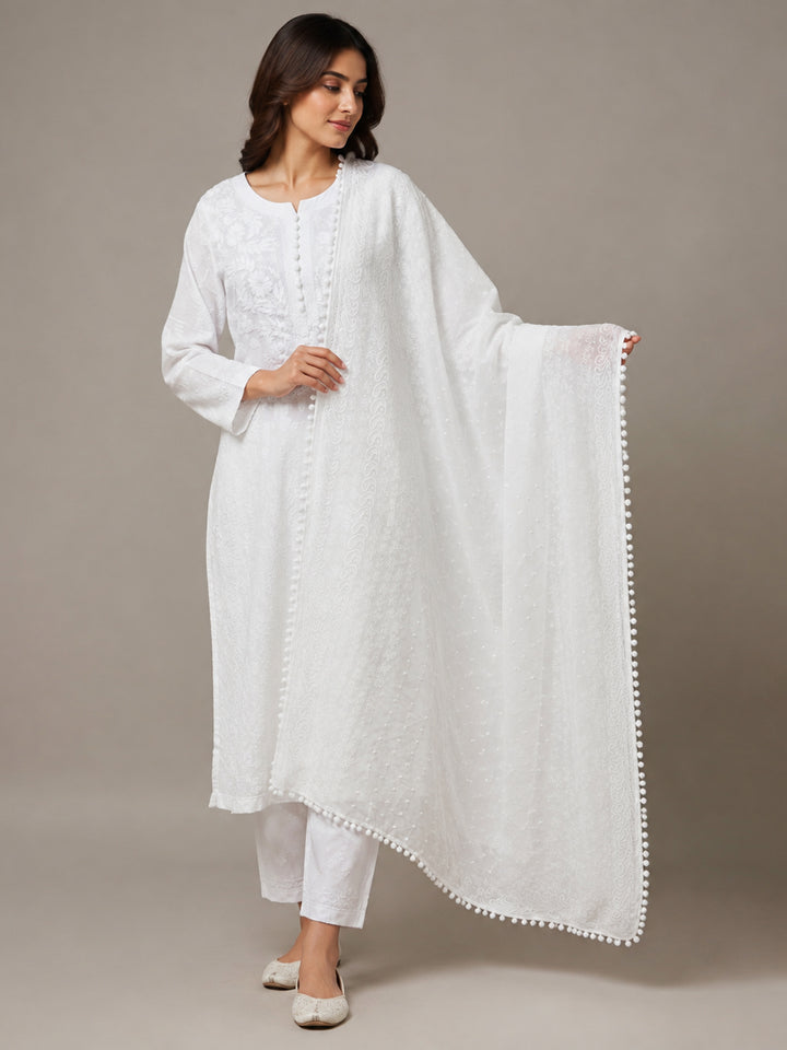 Women Embroidered Georgette Dupatta -PC3721