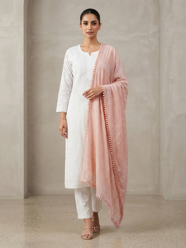 Women Embroidered Georgette Dupatta -PC3721