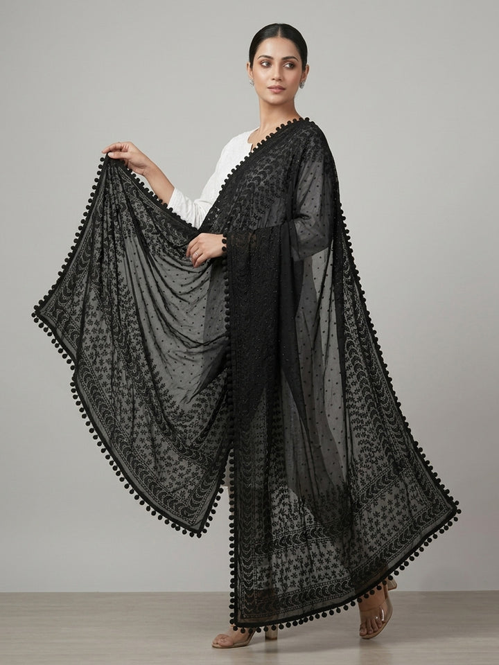 Women Embroidered Georgette Dupatta -PC3721