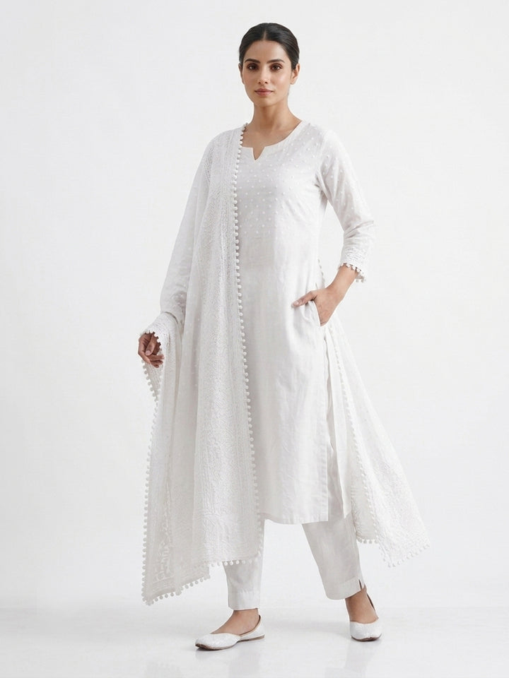 Women Embroidered Georgette Dupatta -PC3721