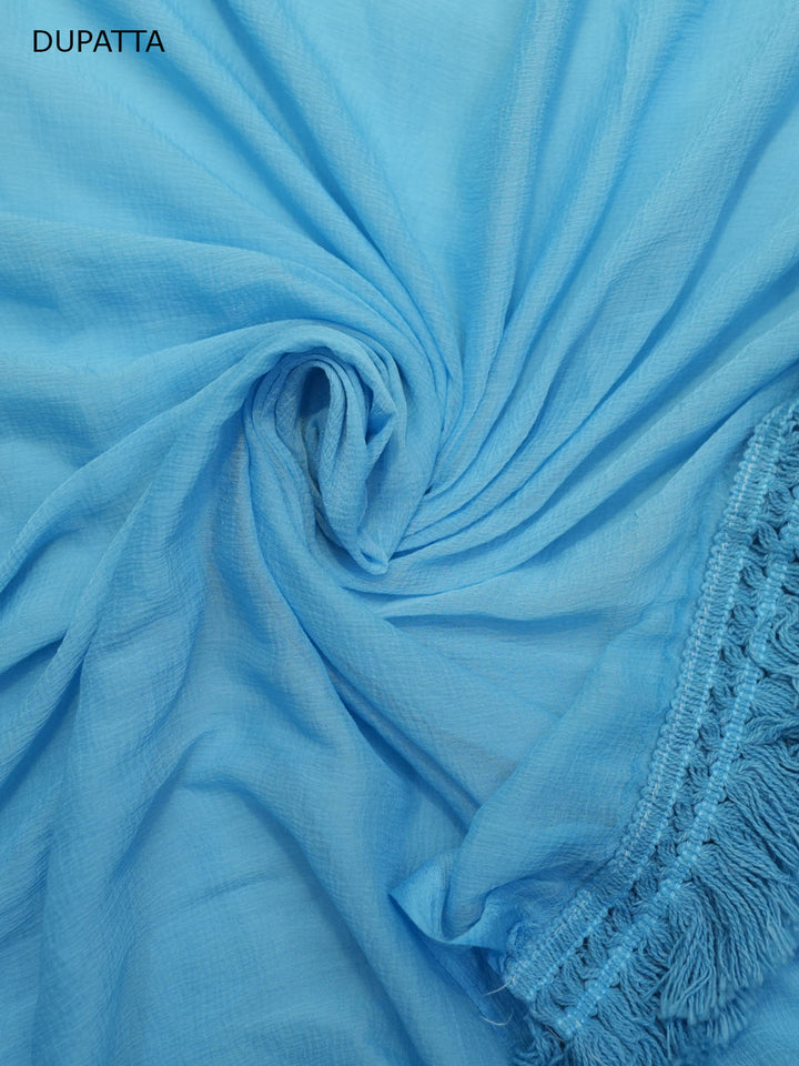 Women Hand Embroidered Chikankari Cotton Dressmaterial PC4120-POWDERBLUE
